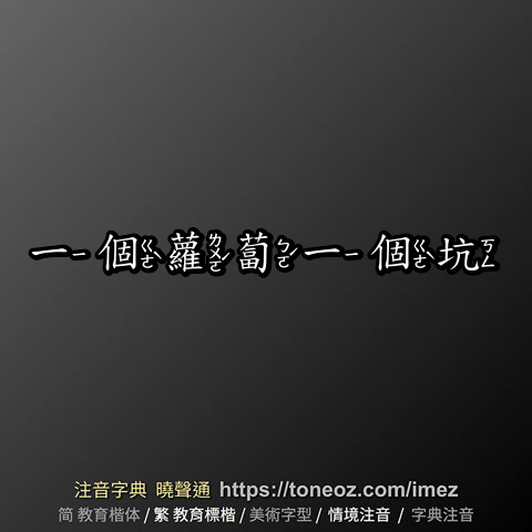 一個蘿蔔一個坑