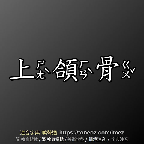 上頜骨