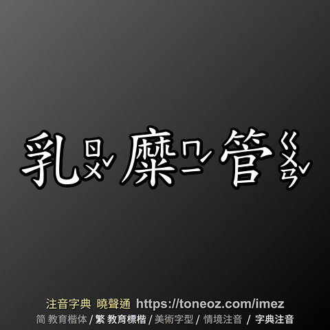 乳糜管