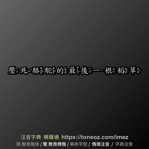 壓死駱駝的最後一根稻草