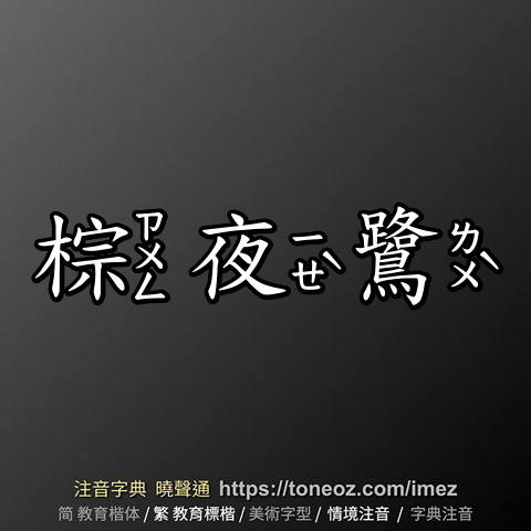 棕夜鷺