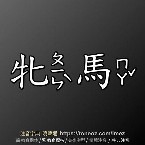 牝馬