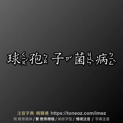 球孢子菌病