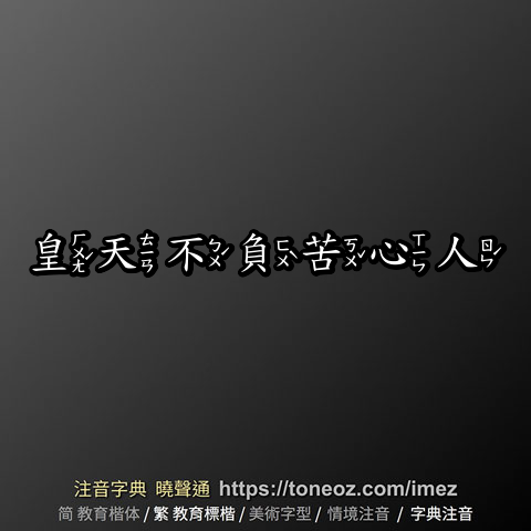 皇天不負苦心人