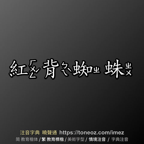 紅背蜘蛛
