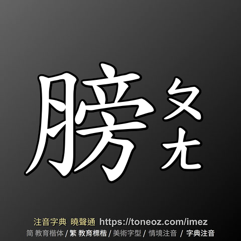 膀