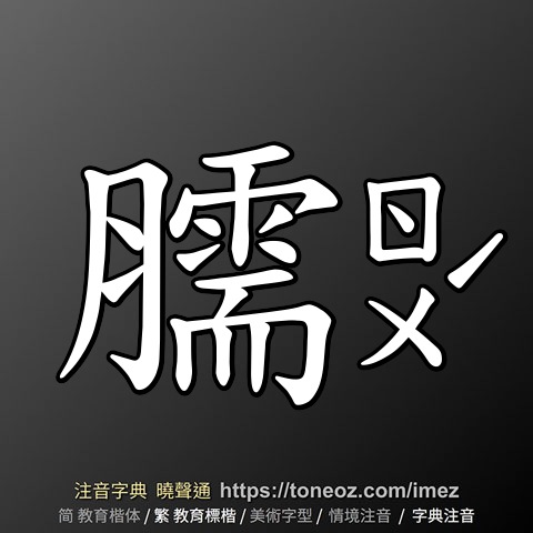 臑 的解釋及造詞。曉聲通注音編輯器