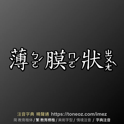薄膜狀