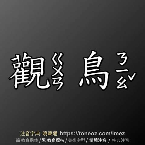 觀鳥