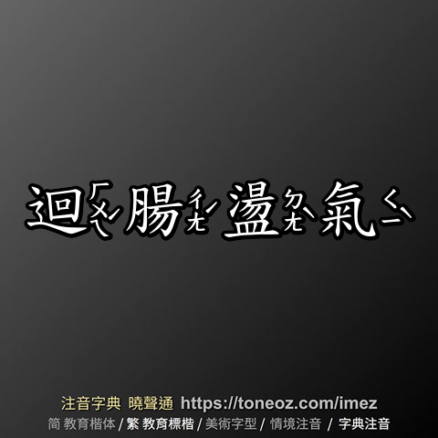 迴腸盪氣