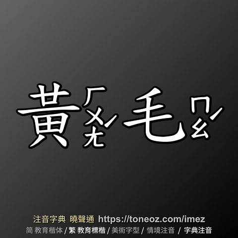 黃毛