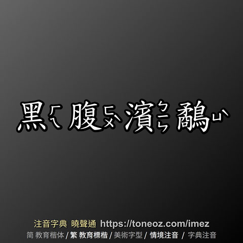 黑腹濱鷸
