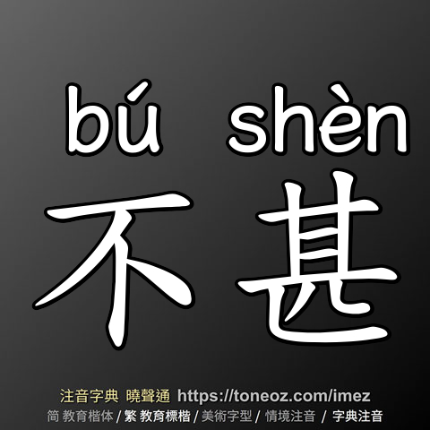 不甚