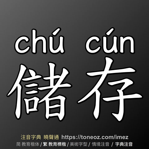 儲存