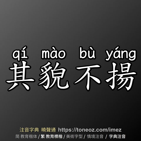 其貌不揚