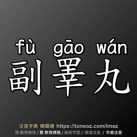 副睪丸