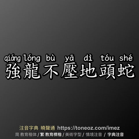 強龍不壓地頭蛇
