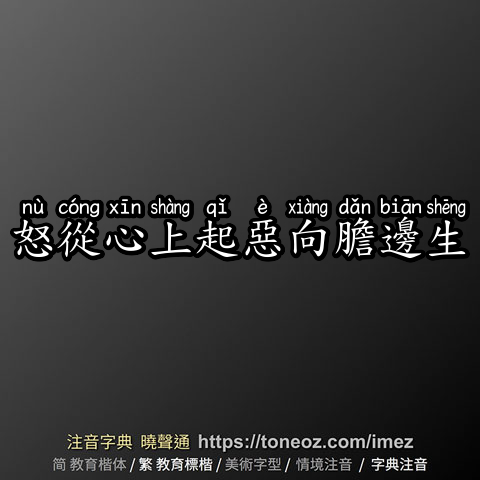 怒從心上起惡向膽邊生