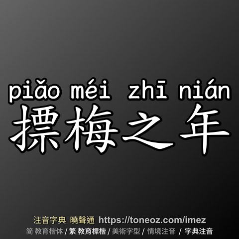 摽梅之年