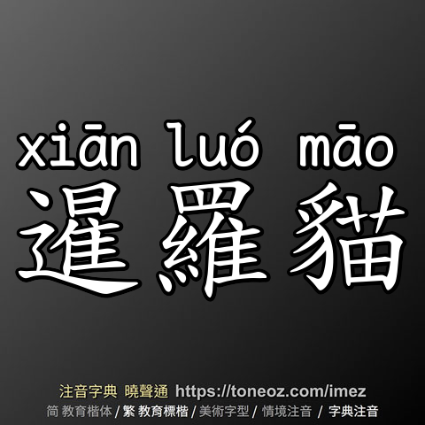 暹羅貓
