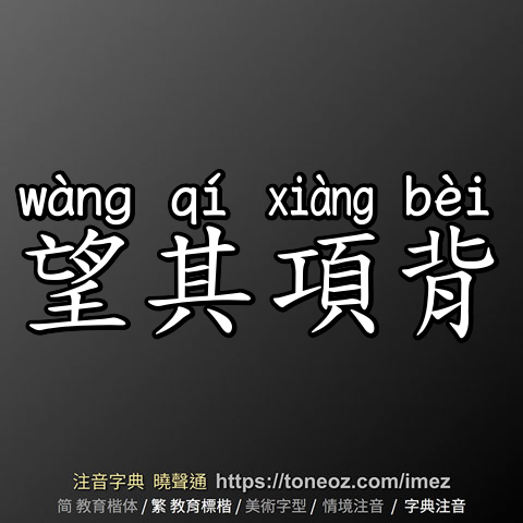 望其項背
