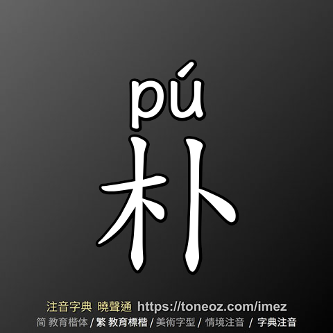 朴