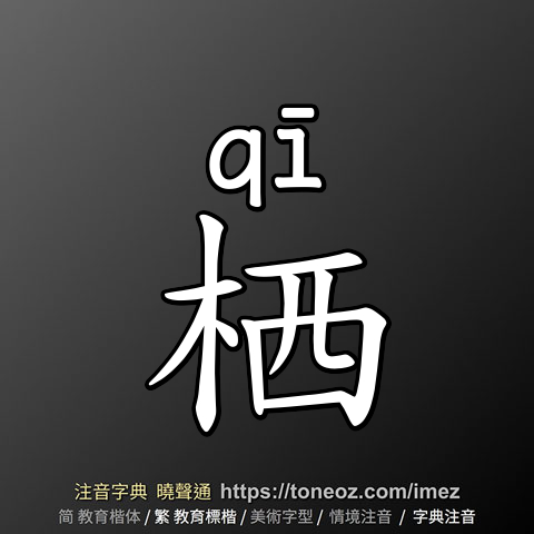 栖