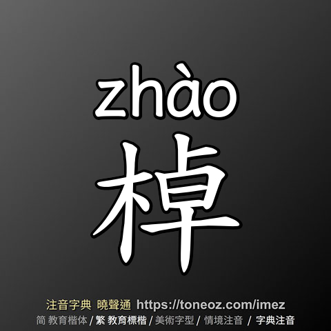 棹