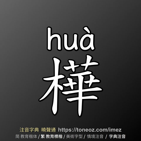 樺