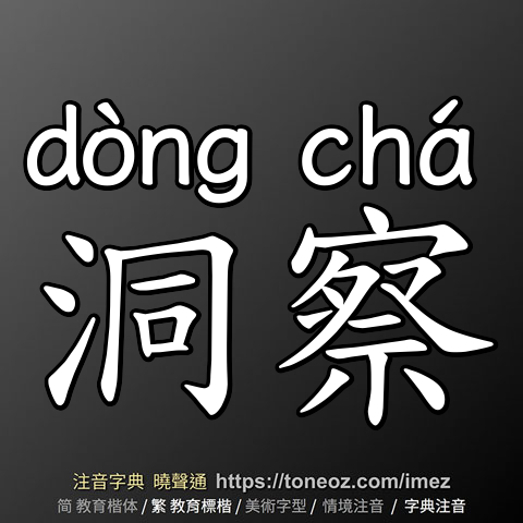 洞察