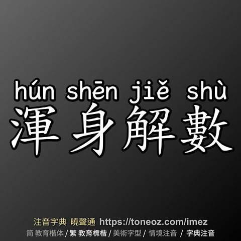 渾身解數