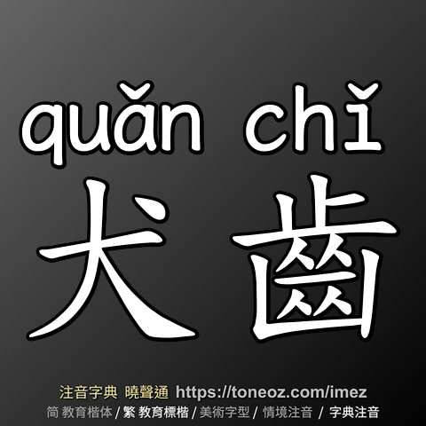 犬齒