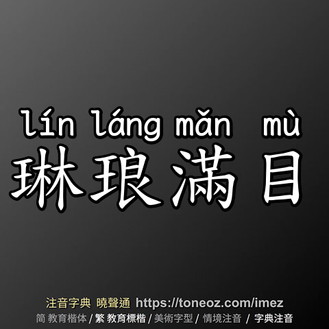 琳琅滿目