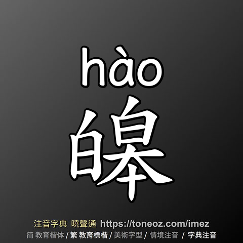 皞