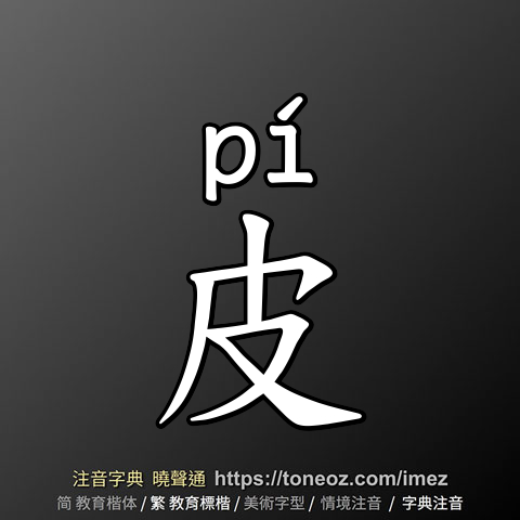 皮