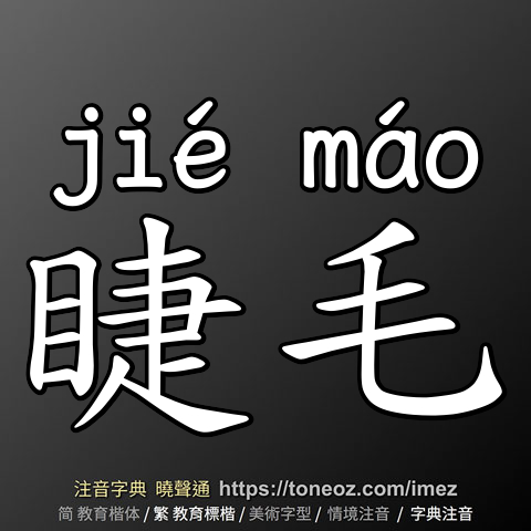 睫毛