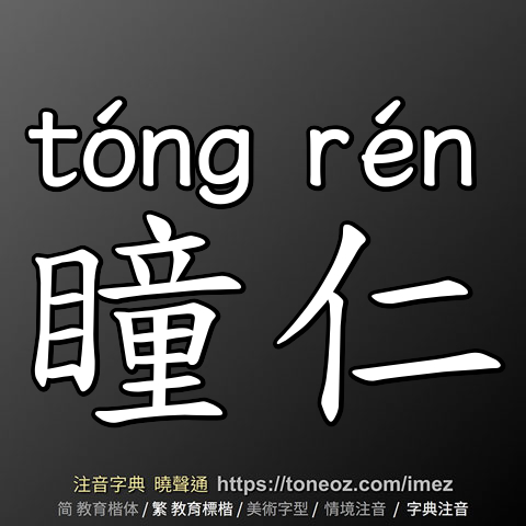 瞳仁