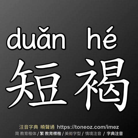 短褐