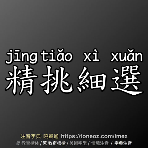 精挑細選
