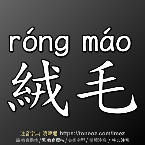 絨毛