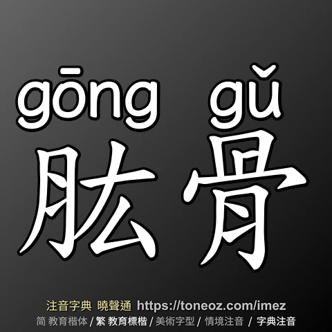 肱骨