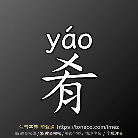 肴