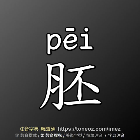 胚