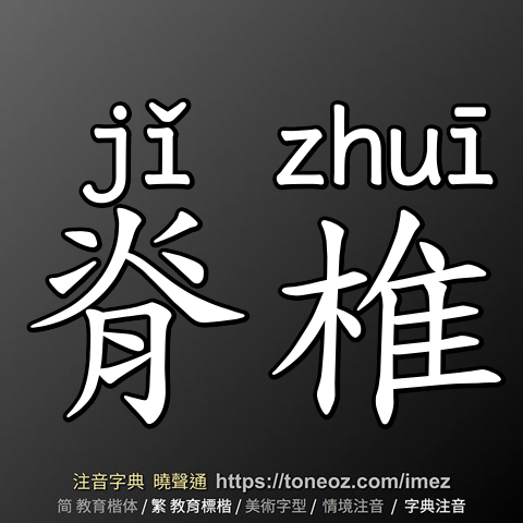 脊椎