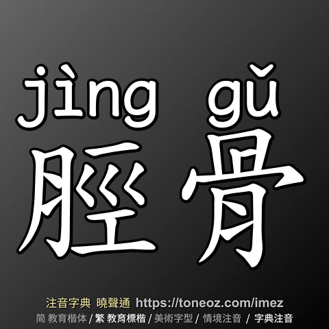 脛骨