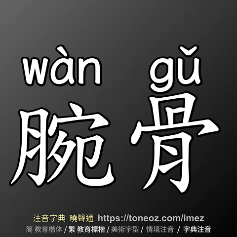 腕骨