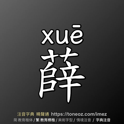 薛