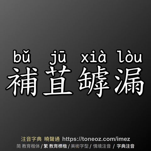 補苴罅漏