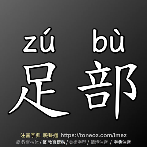 足部