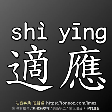 適應